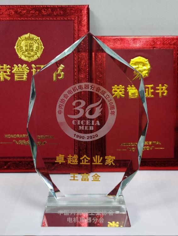 荣获中国内燃机工业协会表彰（3）